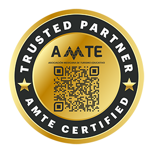 AMTE - Insignia Edupass